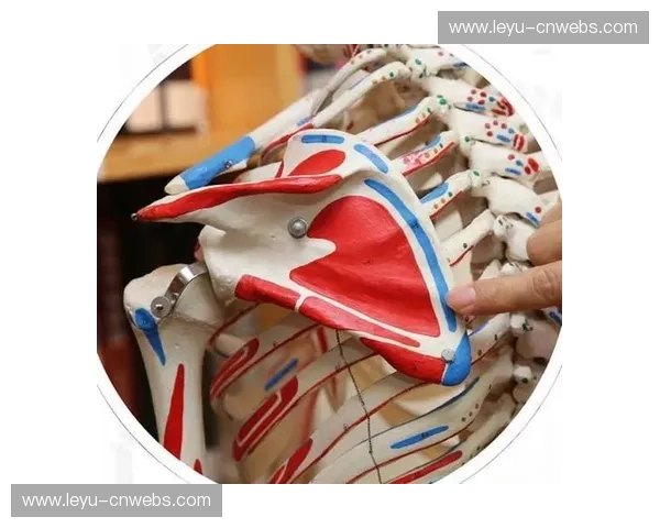 科瓦奇谈医疗管理成功：肌肉伤病率下降背后的科学方案